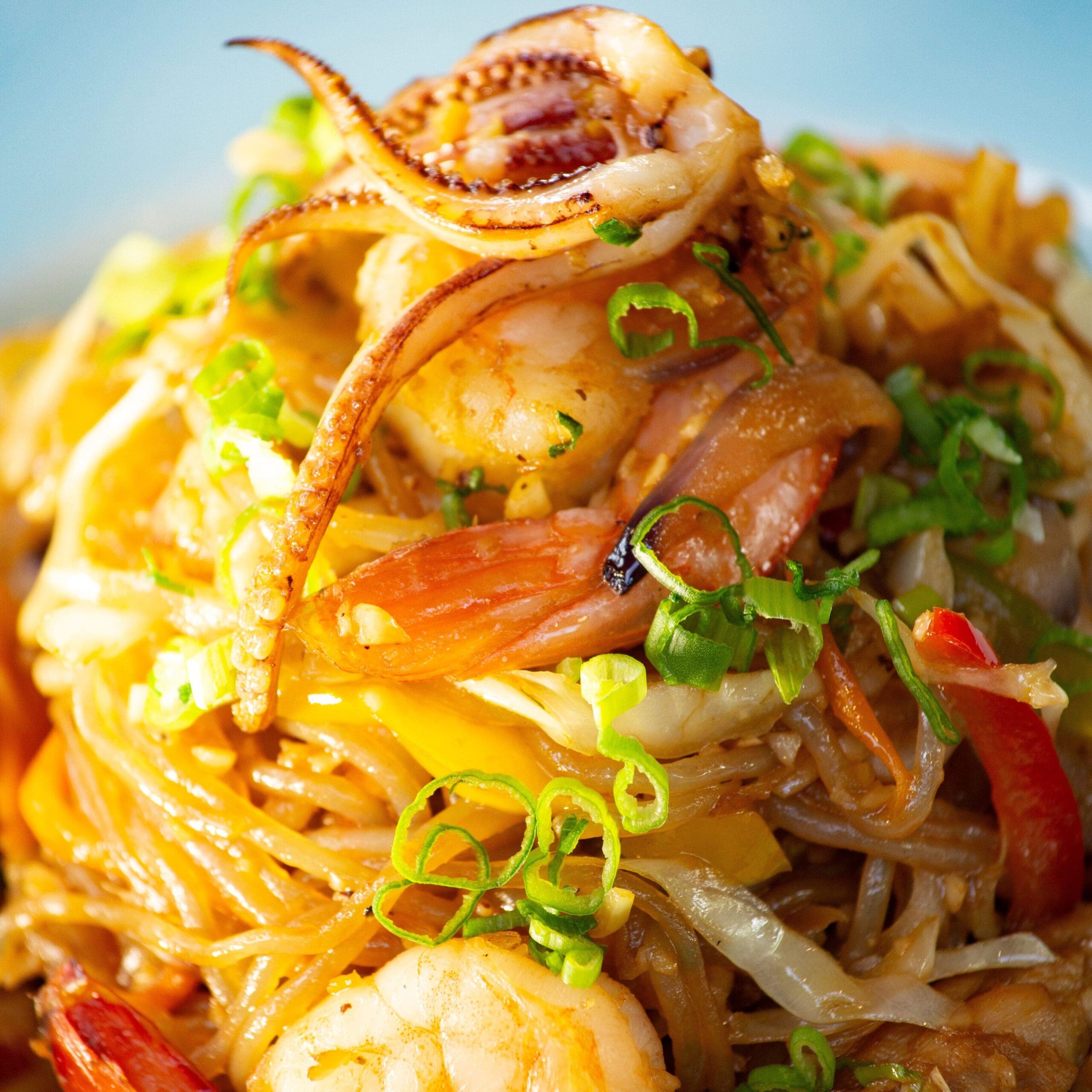 Cantonese Fried Noodles